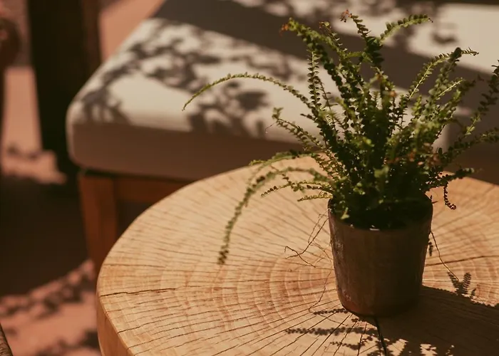 Electra Stavros (Thessaloniki)