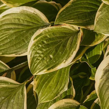 Szálloda Electra 4*