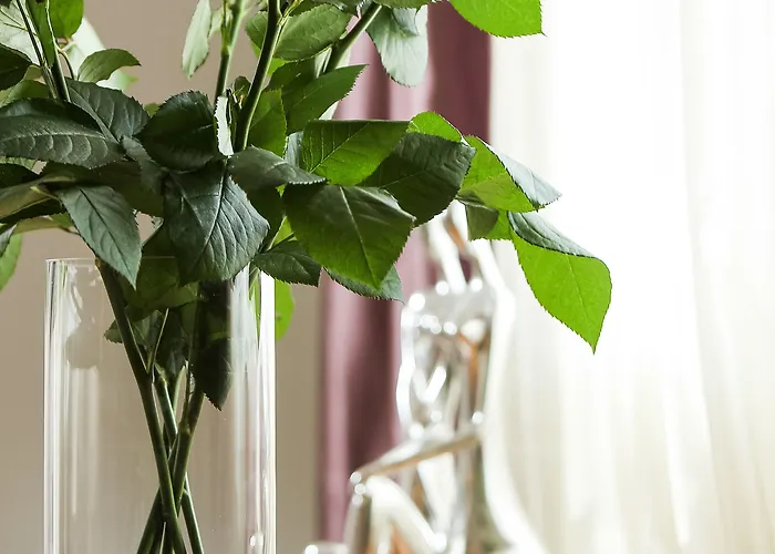 酒店 伊莱克特拉酒店 4*