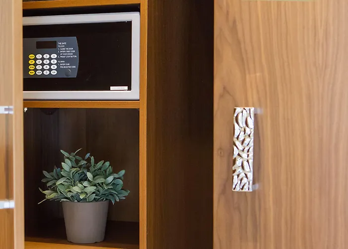 酒店 伊莱克特拉酒店 4*