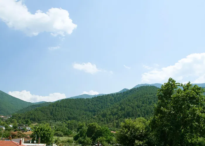 伊莱克特拉酒店 酒店 4*