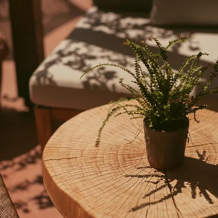 Electra ستافروس